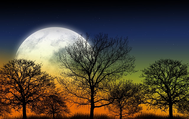 Ya estamos recibiendo la energá de la Luna llena y el eclipse que nos invita a terminar con algo y empezar algo nuevo.