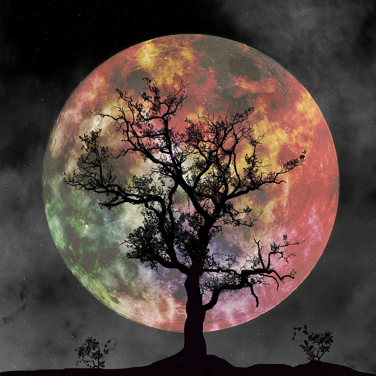 Luna nueva en Capricornio, cimientos más solidos limpiando las raices de tu nucleo familiar.