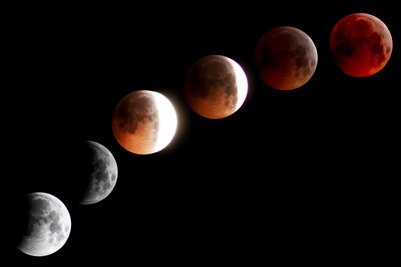 Luna nueva en Tauro para crear nuevos inicios con aquello que tiene valor. Empieza a construir un nuevo inicio.