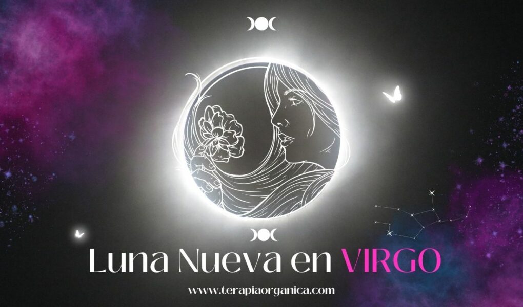 Esta Luna nueva en Virgo te trae renovación y servicio en todos los niveles, espiritual, material y mental.