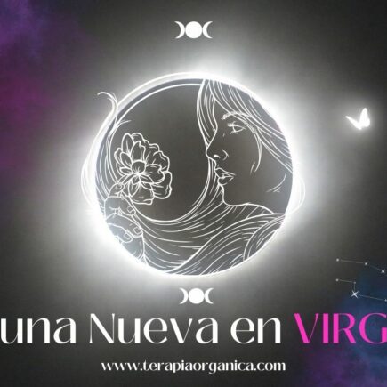 Esta Luna nueva en Virgo te trae renovación y servicio en todos los niveles, espiritual, material y mental.